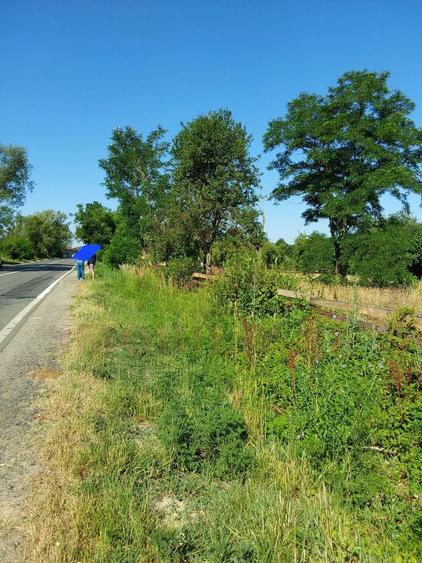 Teren Construcții intravilan de 6254 mp, în Zăvoi