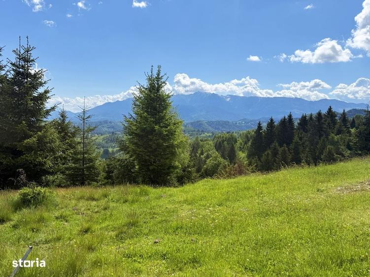 Teren 1425 mp, sat Sinea, zona Bran Moieciu - 3