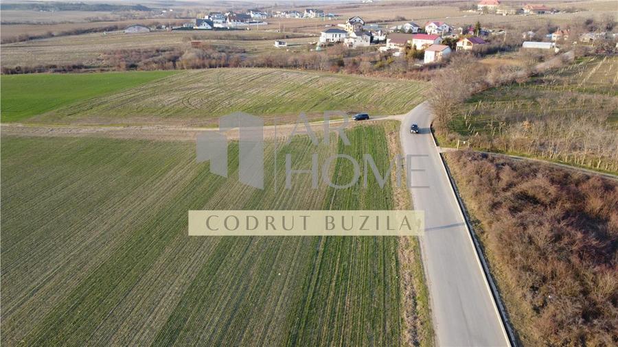 Teren Construcții intravilan de 2500 mp, în Chițorani