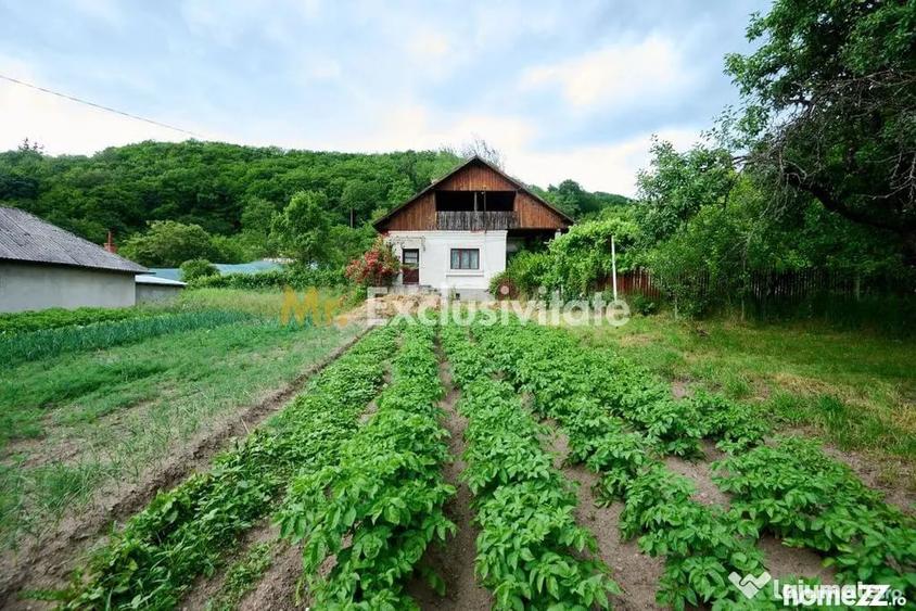 Casă cu 3 camere cu Teren 4696 Mp în Central