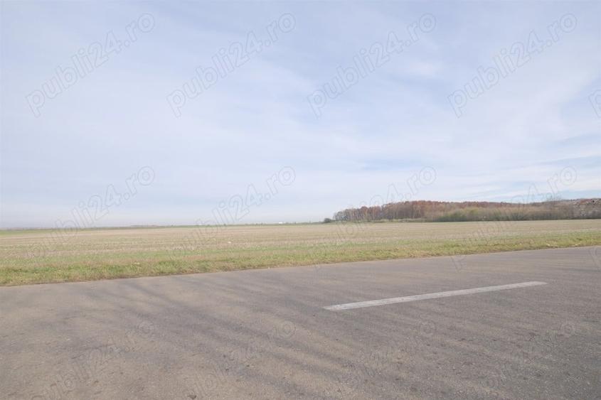 Teren de 270000 mp, în Gherghița