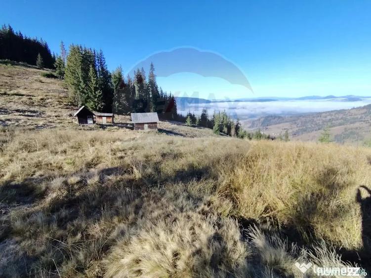 Teren de 31461 mp, în Panaci
