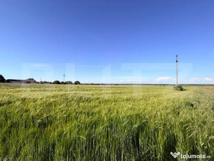 Teren par?ial intravilan de vanzare 9.550 mp, Comuna P - 3