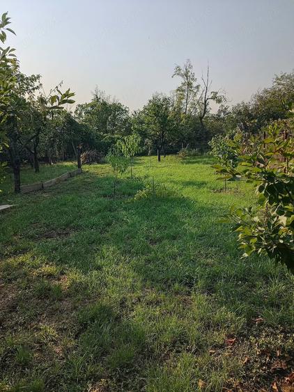 Casă cu Teren 900 Mp în Prunaru
