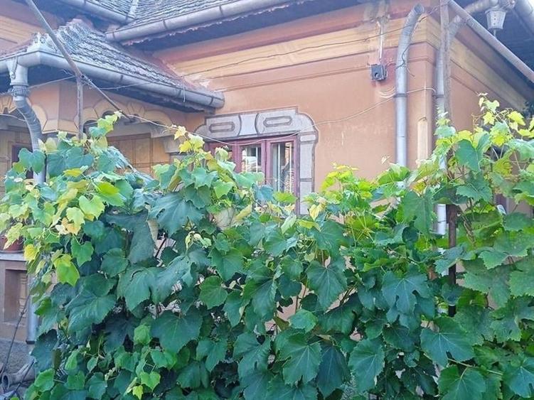 Casă individuală cu 5 camere cu Teren 4400 Mp în Giubega