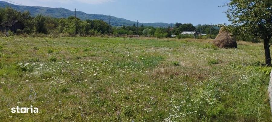 Teren de 650 mp, în Bujoreni