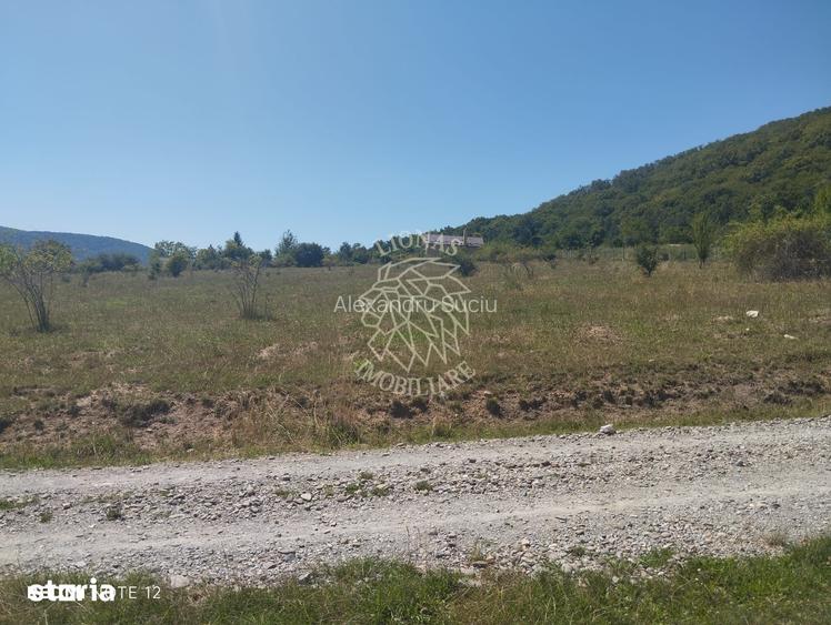 Teren intravilan 2900 mp cu utilitati-Zona MOL Viisoara
