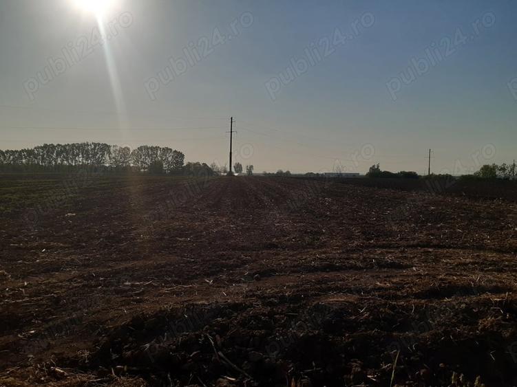 Teren de 4850 mp, în Dobreni