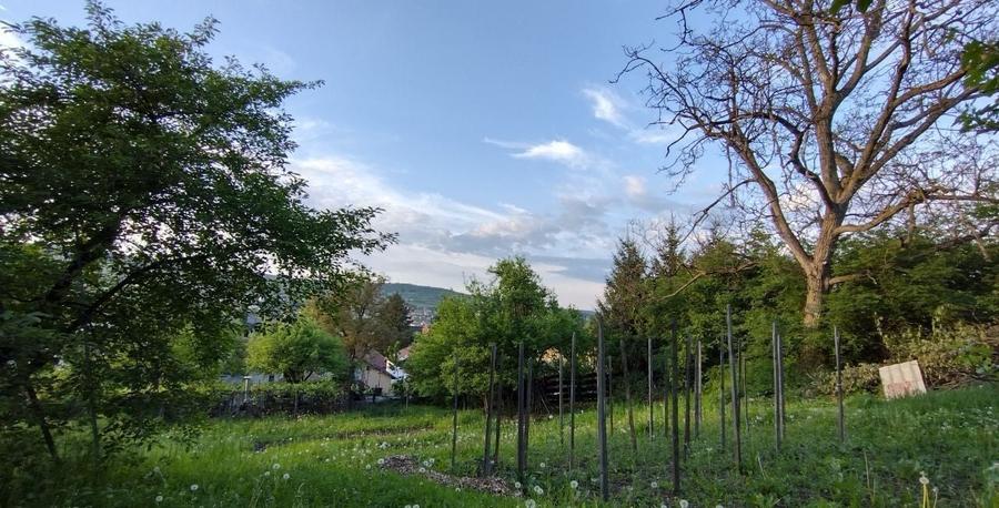Casă individuală cu 5 camere cu Canalizare în Gruia
