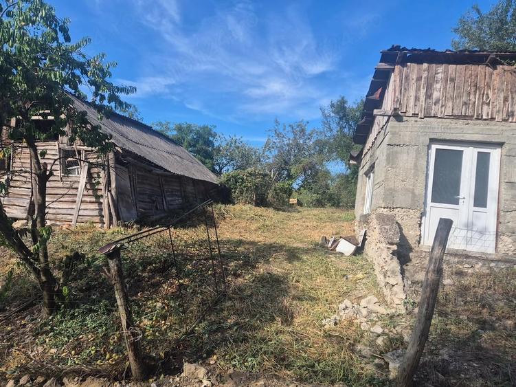 Teren de 3500 mp, în Păuliș
