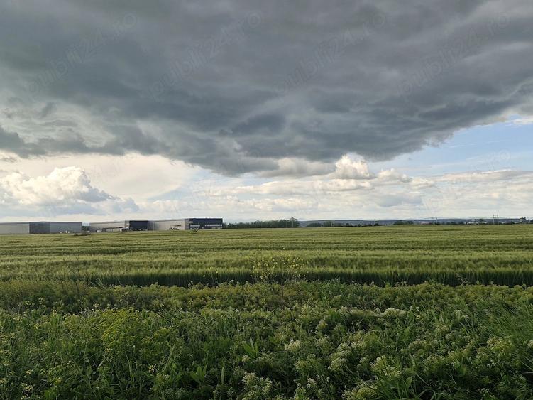 Teren de 5000 mp, în Vest