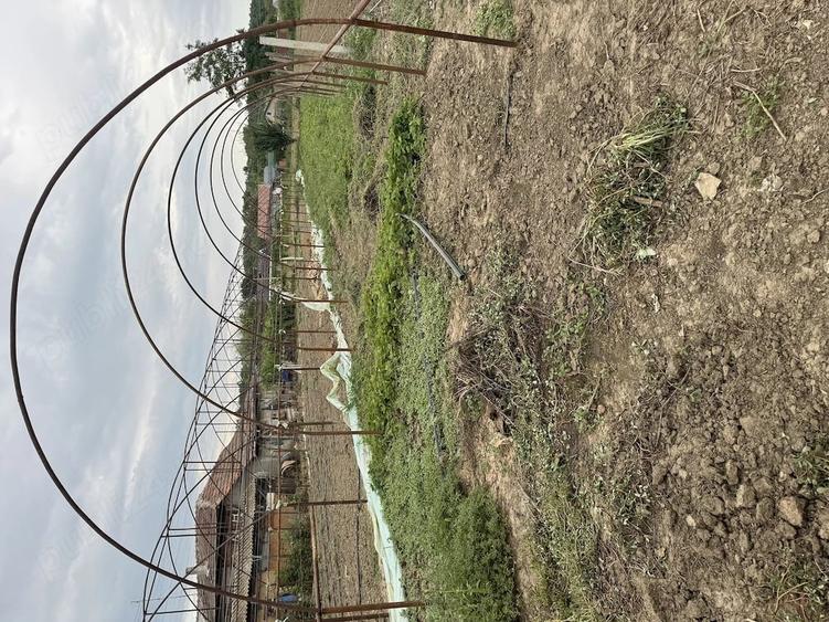 Teren de 1500 mp, în Hotarele