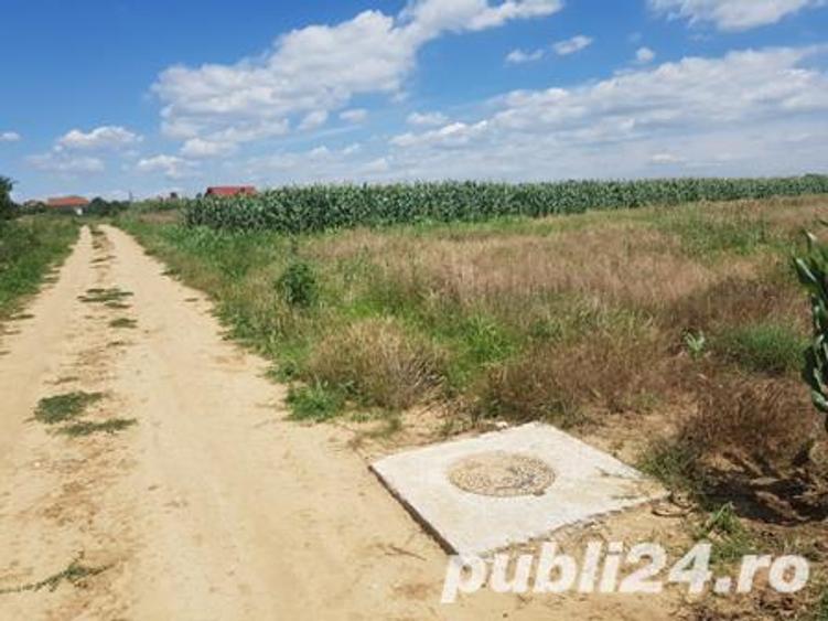 Teren de 5000 mp, în Malu Mare