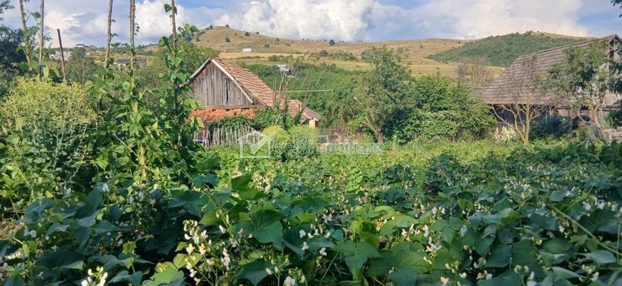 Casă cu 3 camere cu Teren 80 Mp în Sălicea