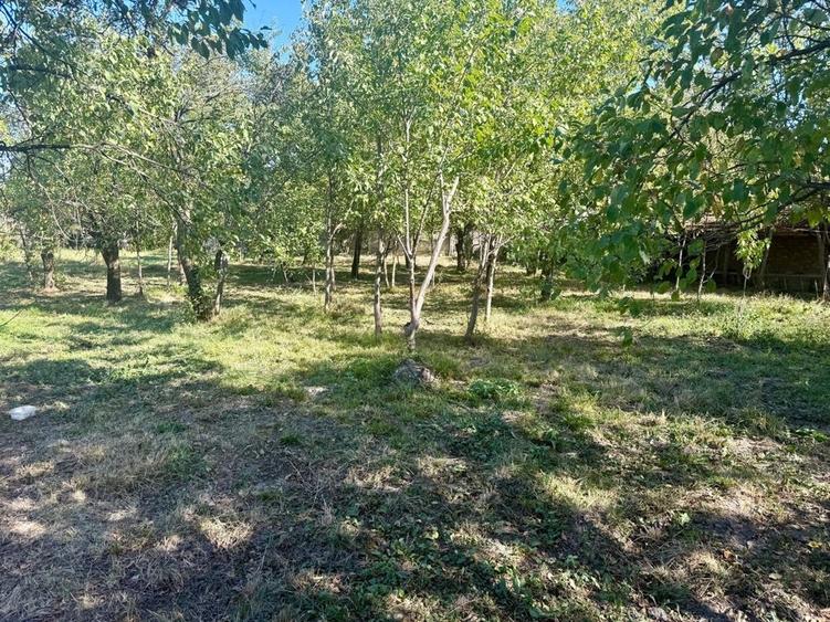 Casă cu 4 camere în Tătărani