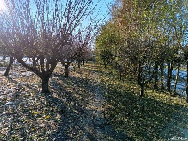 Teren de 4400 mp, în Ceacu