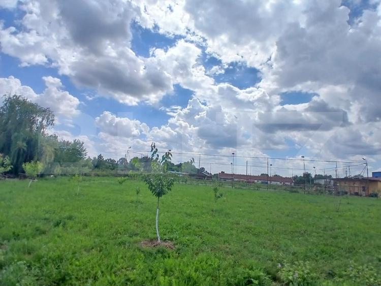 Casă individuală cu 6 camere cu Canalizare în Tinca