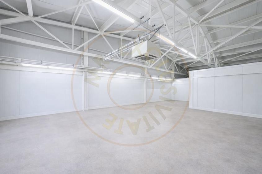 Spațiu comercial, de 598 mp, în Dacia