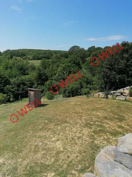 Teren agricol intravilan de 1523 mp, în Calnic