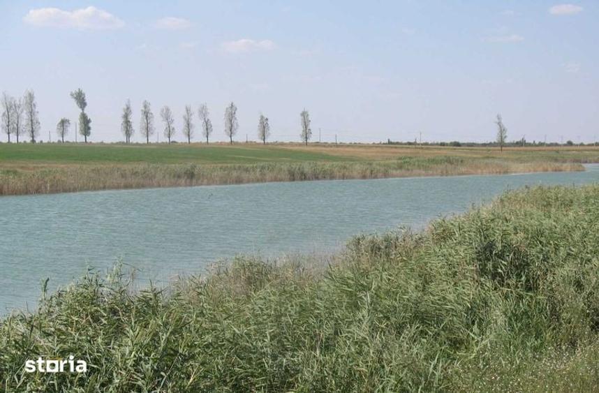 Teren de 430000 mp, în Reviga