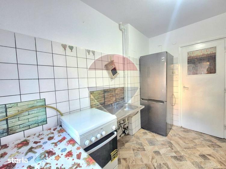 Apartament 2 camere de inchiriat in zona Podgoria - 12