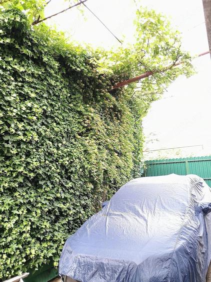 Casă cu 6 camere cu Teren 450 Mp în Berceni