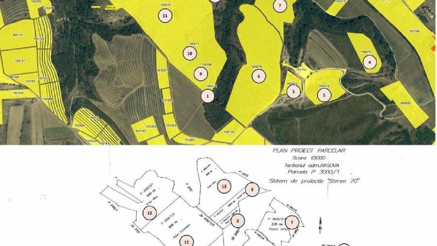 Teren extravilan de 380000 mp, în Rasova