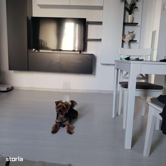 Apartament | 3 Camere | Raul Doamnei | Drumul Taberei | DE INCHIRIAT - 7