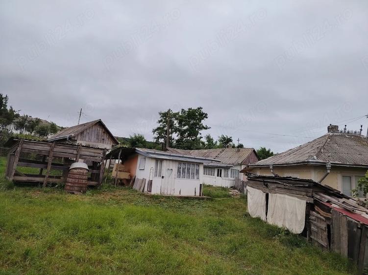 Casă cu 3 camere cu Teren 3600 Mp în Lunca