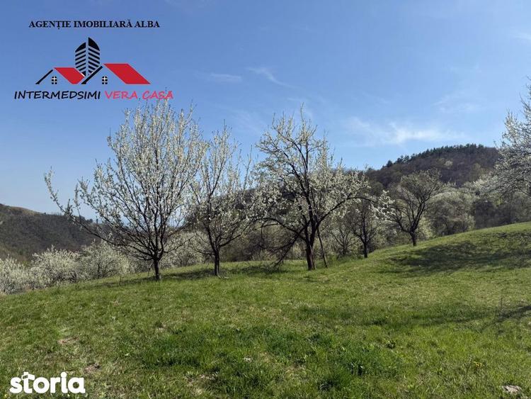 Teren de 13698 mp, în Vințu de Jos