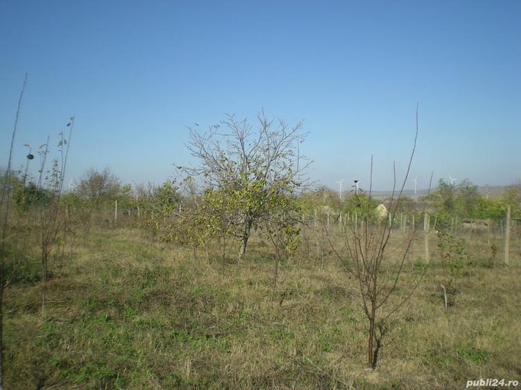 Teren de 1300 mp, în Agighiol