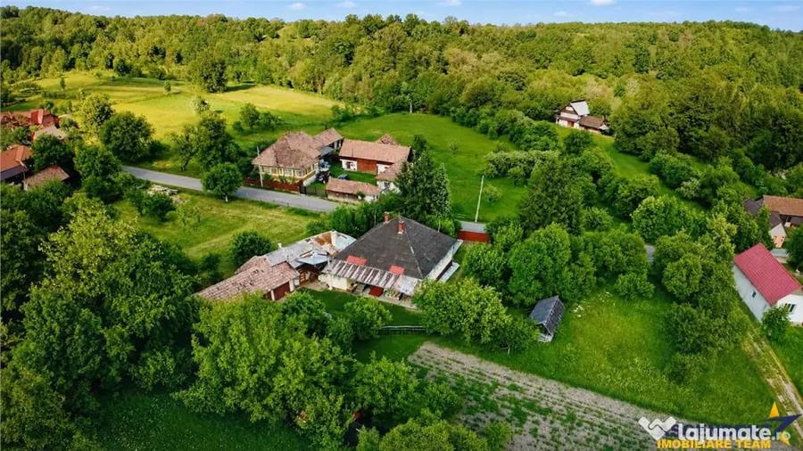 Casă cu 6 camere cu Teren 3269 Mp în Bistra Mureșului