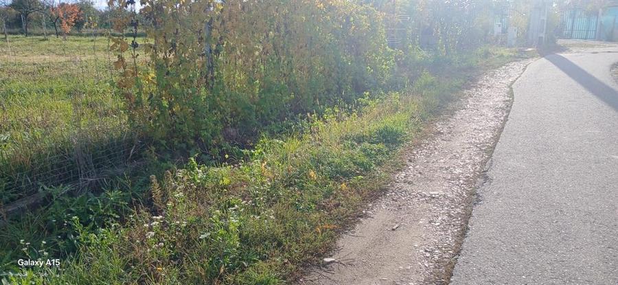 Teren Construcții intravilan de 1000 mp, în Biharia