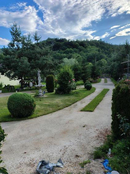 Vand Vila Toplita,Malureni - 1