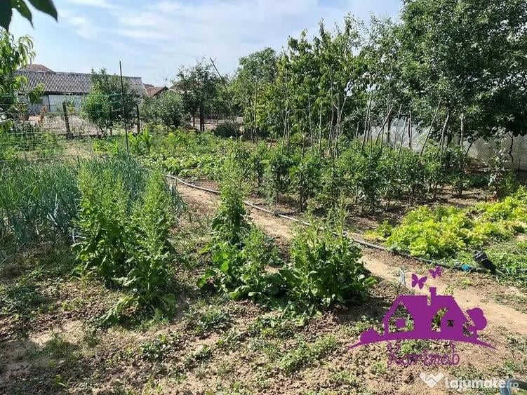 Casă cu 4 camere cu Teren 746 Mp în Nojorid