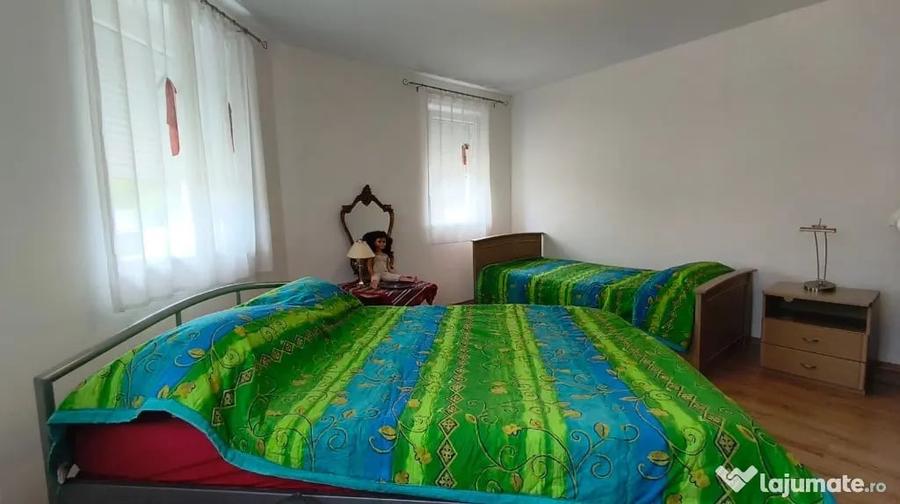 Reprezentare Exclusiva Proprietate deosebita, la 30 de minute de Dev - 11
