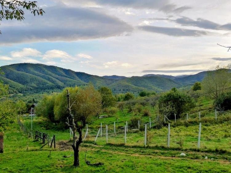 URGENT - Teren intravilan 916 mp in Cisnadioara 79.996,00 EUR cu plata in rate - 4