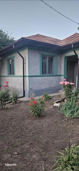 Gospodarie casa si teren - 17