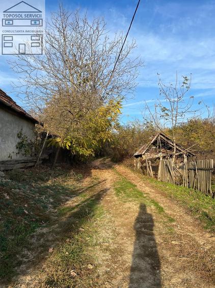 Casă cu 3 camere cu Teren 2672 Mp în Ineu
