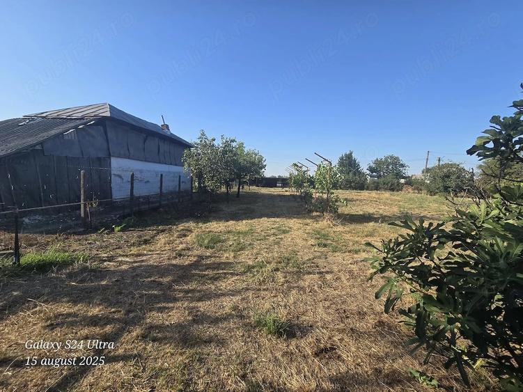 Casă cu Teren 3092 Mp în Siliștea