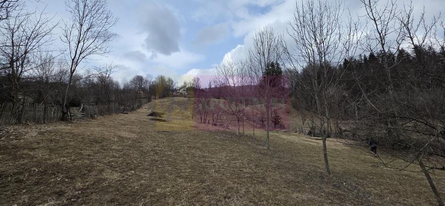 Teren Construcții intravilan de 2500 mp, în Valea Doftanei