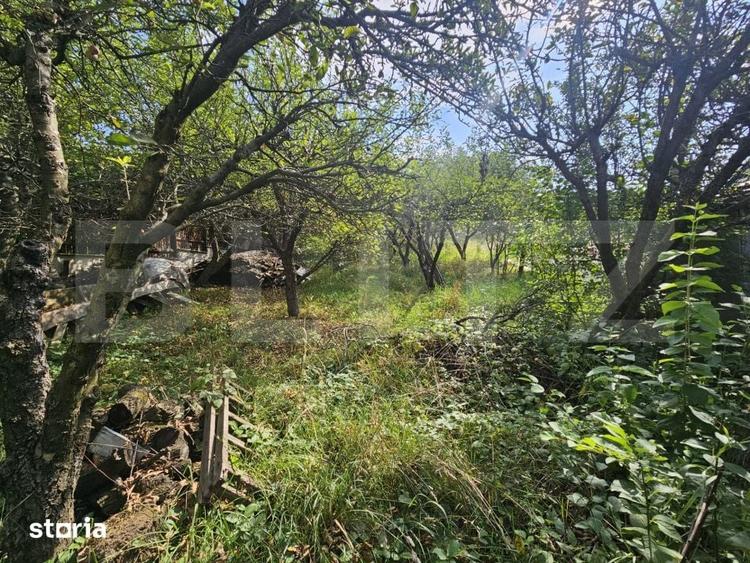 Casă cu 4 camere cu Teren 780 Mp în Borhanci