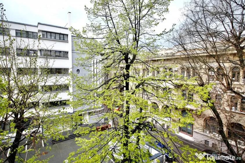 ULTRACENTRAL-CALEA VICTORIEI, MODERN, CISMIGIU, 0% COMISION! - 14