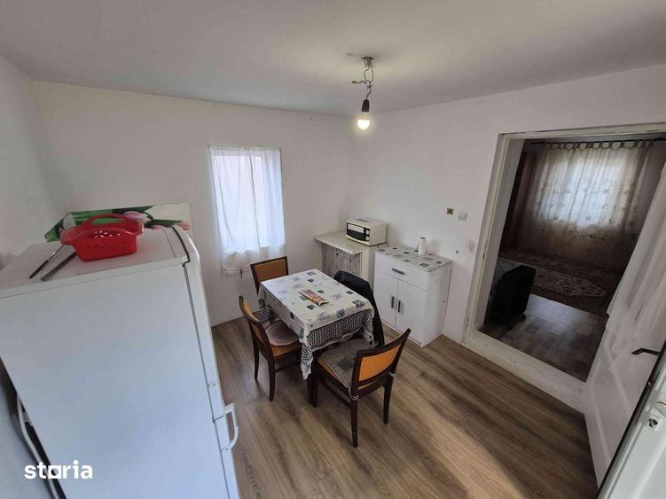 Casa de vanzare, Peciu Nou - 16