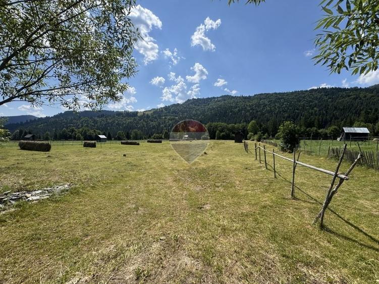 Teren Construcții intravilan de 2802 mp, în Borca