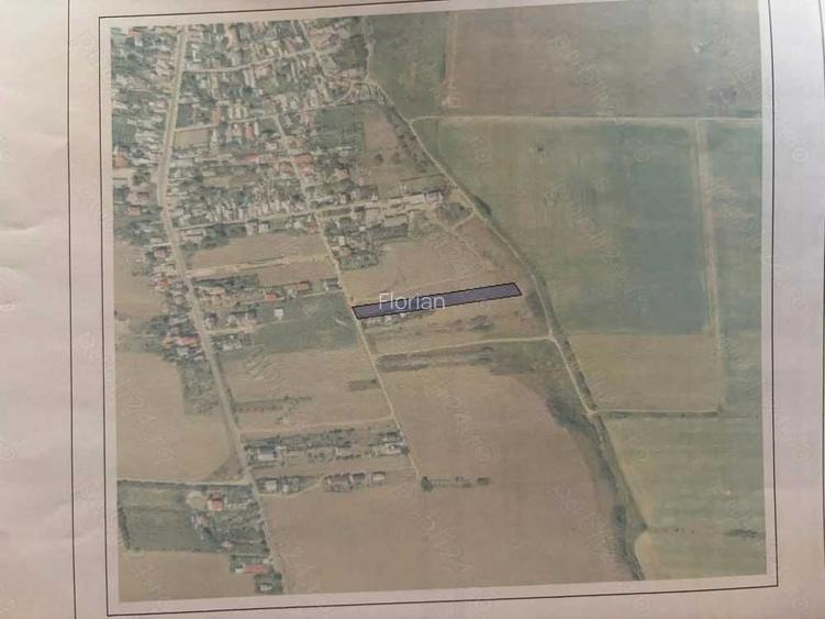 teren 5000mp, intravilan, Glina-Strada Rasaritului. Pret: 22 euro mp.