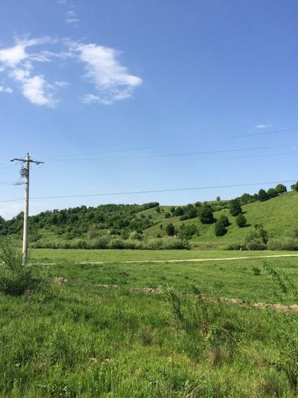 Teren extravilan de 3000 mp, în Sud-Est