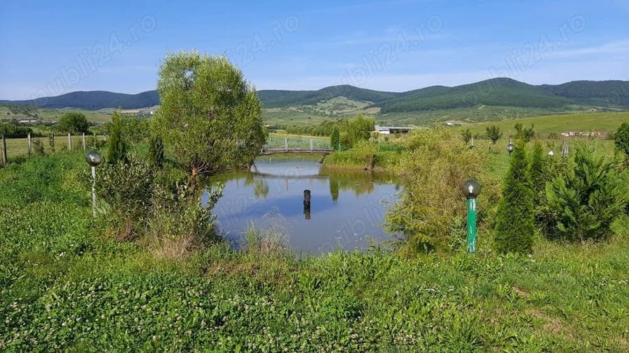 Casă cu 6 camere în Herina