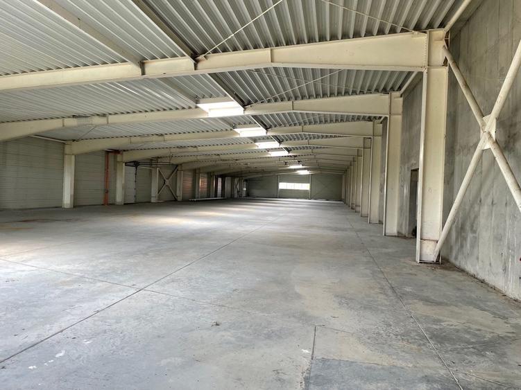 Spațiu industrial, de 4,600 mp, în Sânandrei