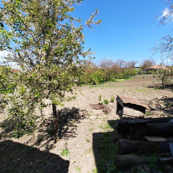 Casă cu 3 camere cu Teren 1350 Mp în Central